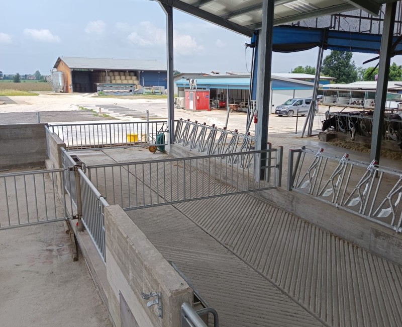 San Benedetto Po (MN)