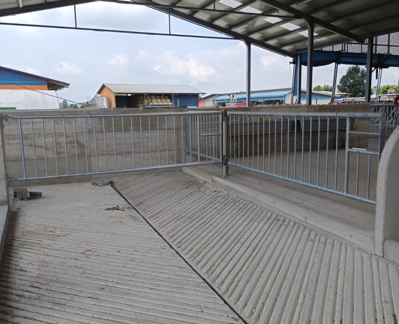 San Benedetto Po (MN)