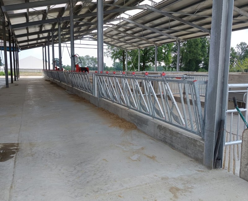 San Benedetto Po (MN)