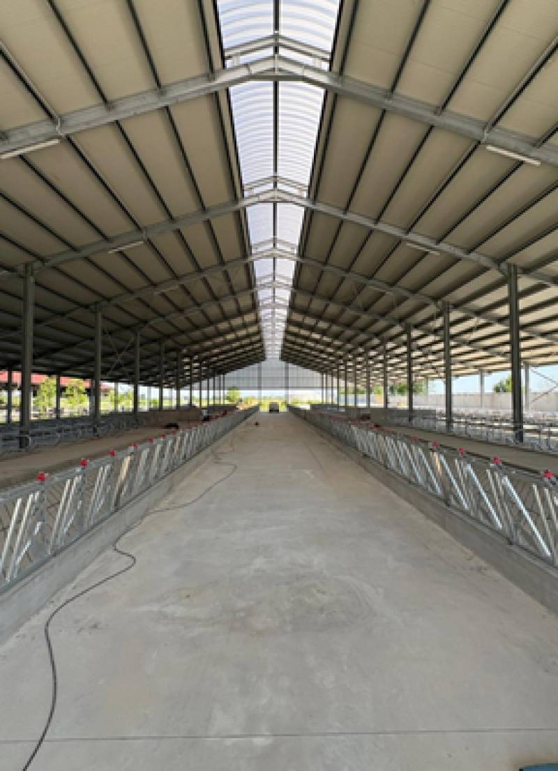 Riqualificazione e Manutenzione